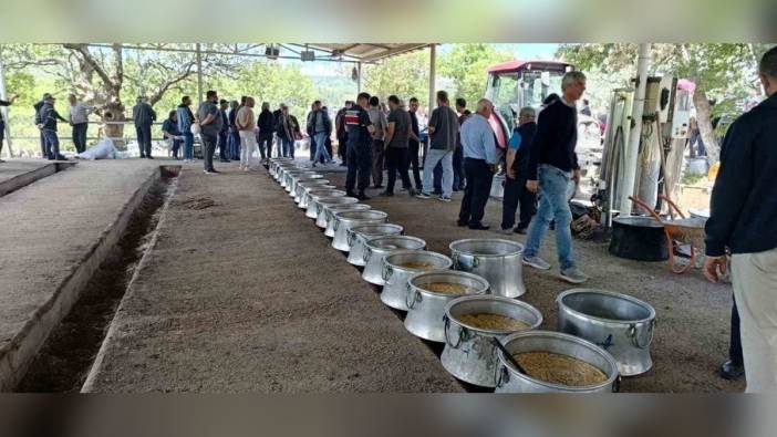 Çanakkale'nin Bayramiç ilçesinde 20 bin kişi 'Garipçe köy hayrı'nda buluştu