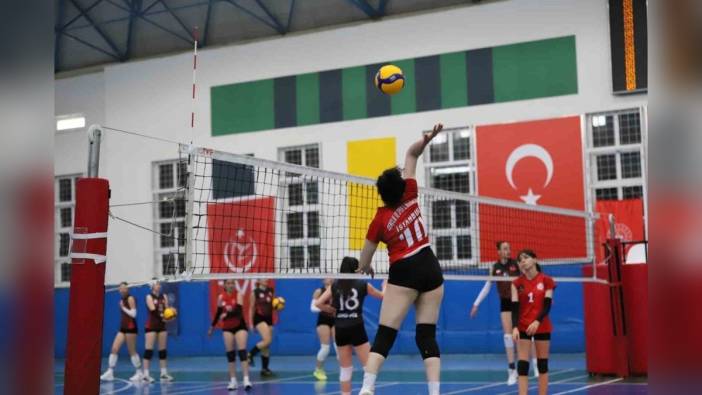 Denizli'de voleybol heyecanı: İstanbul şampiyon