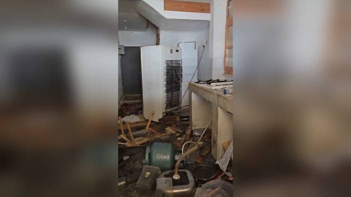 Trabzon'da ayı saldırısı: Belediye başkanının evi talan edildi