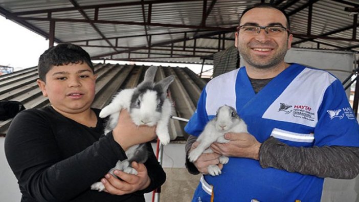 Evin havalandırma boşluğuna düşen tavşanlar kurtarıldı