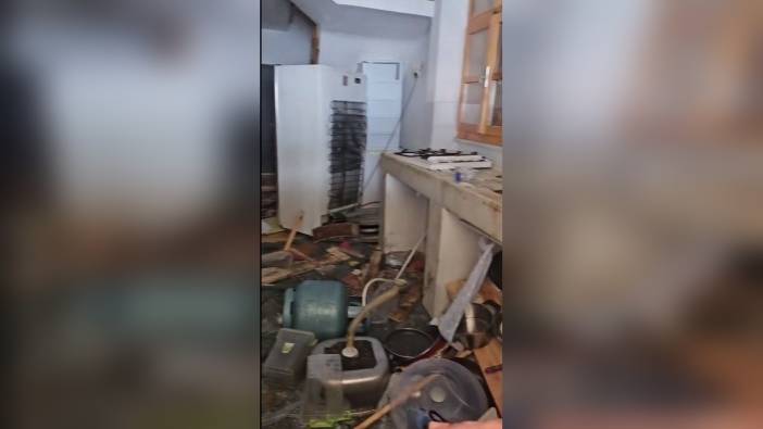 Araklı'da ayılar belediye başkanının yayla evini talan etti