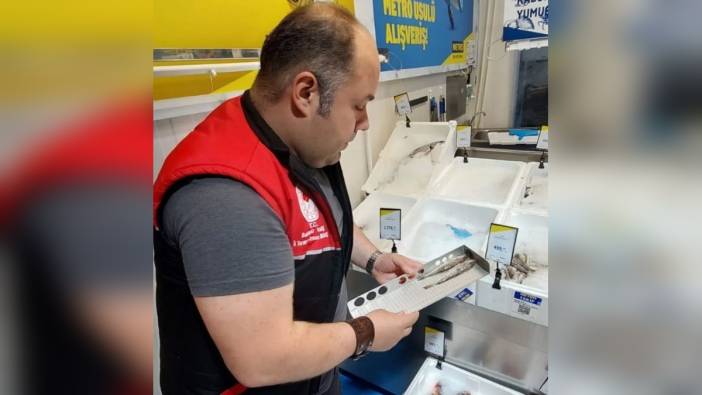 Edremit'te su ürünleri denetimleri sürüyor