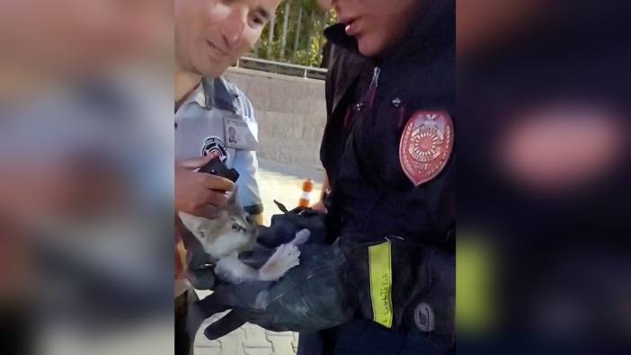 Konya'da park halindeki otomobilin motoruna giren kedi, itfaiye tarafından kurtarıldı