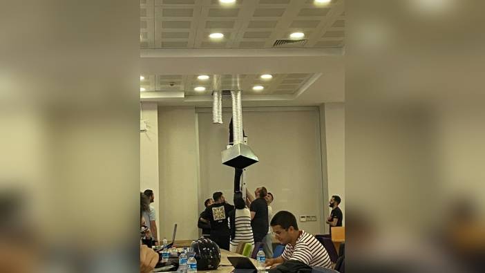 Sakarya Üniversitesi kütüphanesinde mahsur kalan kedi ve yavrusu kurtarıldı