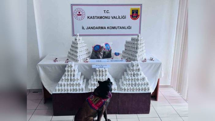 Kastamonu'da uyuşturucu operasyonu: 1 kişi tutuklandı