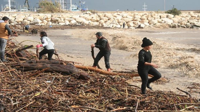 Selde sürüklenen kütükleri yakmak için topladılar