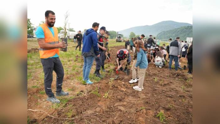 Düzce Üniversitesi öğrencileri Uğur Suyu Deresi çevresini yeşillendirdi