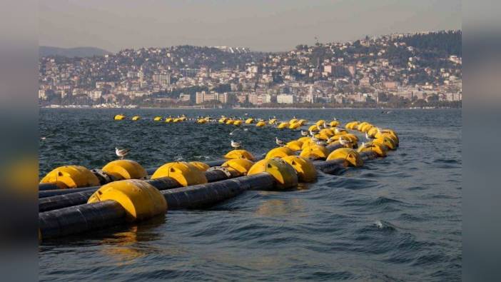 İzmit Körfezi'nde balık bereketi: 2 saatte 100 mırmır