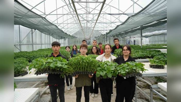 Erzincan'da öğrenciler 1 milyon fide üretmeyi hedefliyor