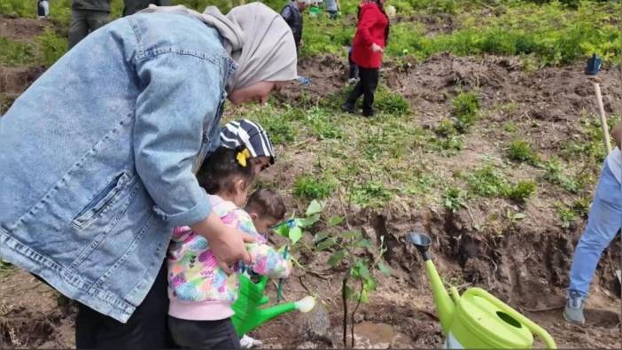 Osmaniye'de koruyucu aileler için hatıra ormanı oluşturuldu