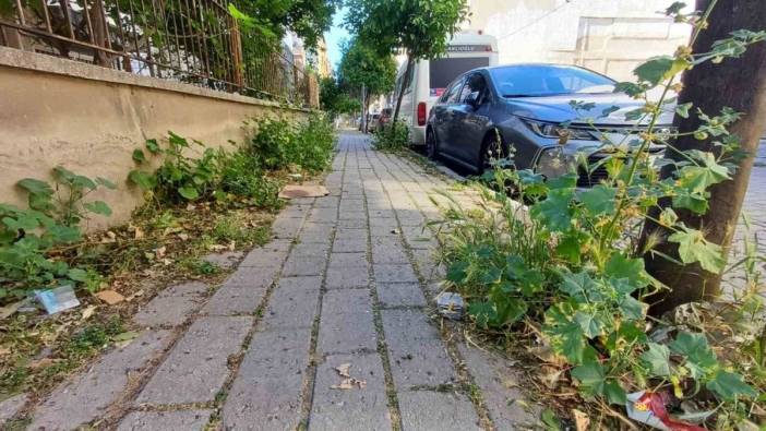 Aydın'da otlarla kaplı sokaklar tepkiye neden oldu