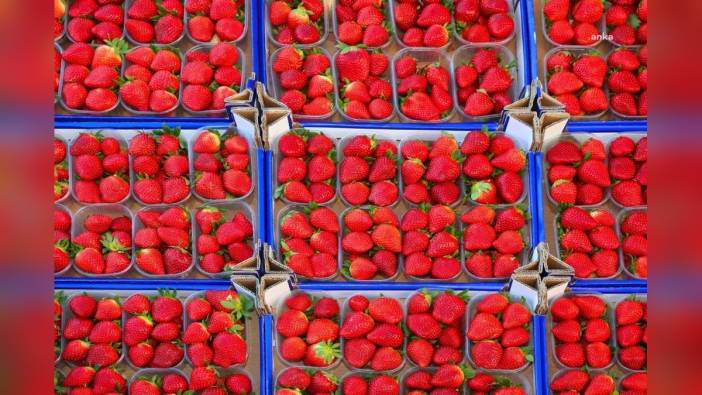 İstanbullular nisan ayında 205 bin ton meyve sebze tüketti