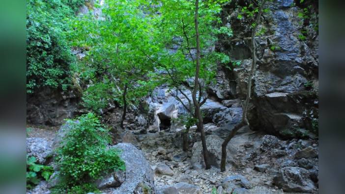 Manisa'daki saklı kanyon kurudu