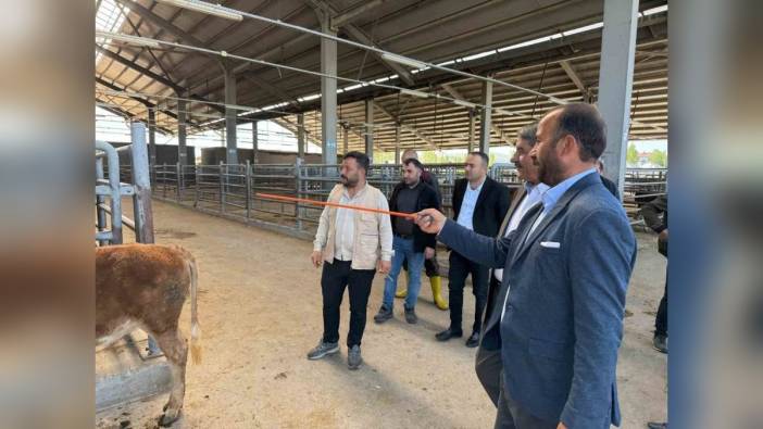 Patnos Belediye Başkanı Taşkın: Kurban Bayramı hazırlıkları tamamlandı