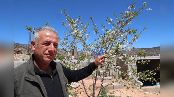 Antalya Büyükşehir Belediyesi'nin sulama projesi Beğiş Ovası'na can suyu oldu