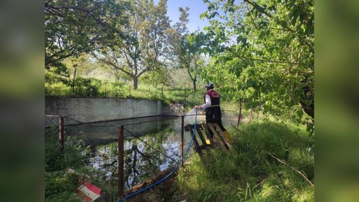Elazığ İl Özel İdaresi'nden sinek ve haşere ilaçlaması