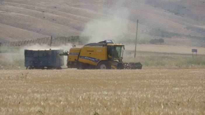 Adıyaman'da hububat hasadı başladı: Verim düşük