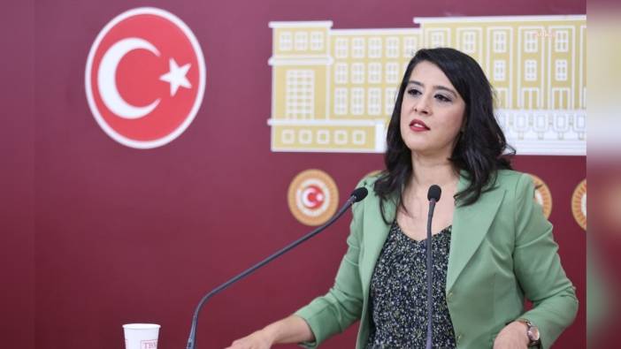 EMEP'li Karaca'dan Bahçeli'nin komisyon önerisine tepki: 'Antidemokratik uygulamaların prototipi'