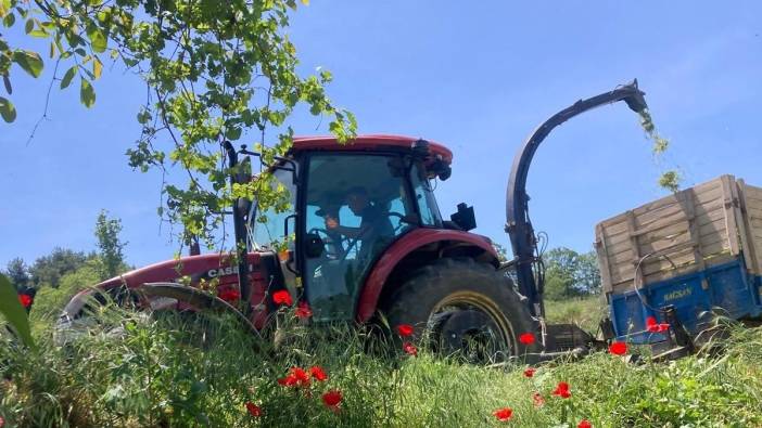 Ürettiği slaj sayesinde, süt veriminde rekor artış elde etti