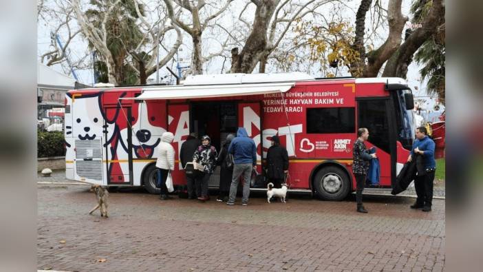 Balıkesir Büyükşehir Belediyesi'nden can dostlara ücretsiz tedavi desteği