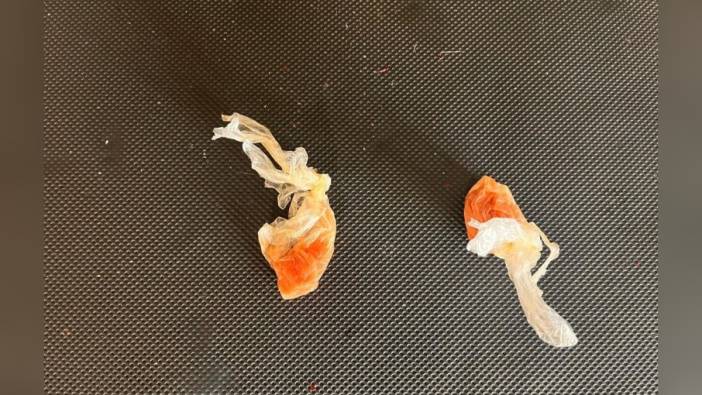 Düzce'de 800 gram bonzai yapımında kullanılabilecek uyuşturucu ham maddesi ele geçirildi