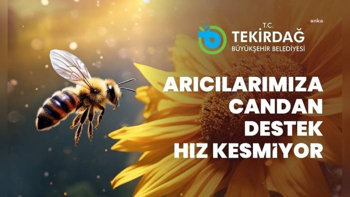 Tekirdağ Büyükşehir Belediyesi'nden arı üreticilerine yem desteği