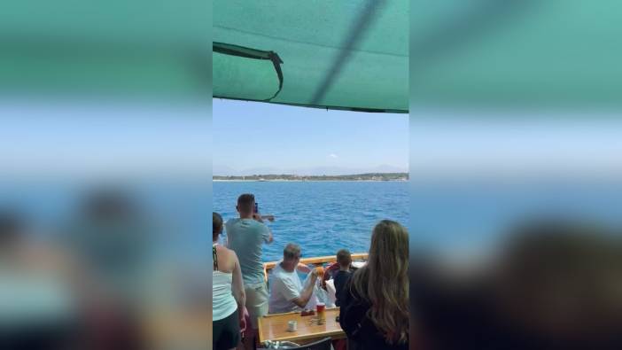 Antalya'da İngiliz turistler Akdeniz fokunu görüntüledi