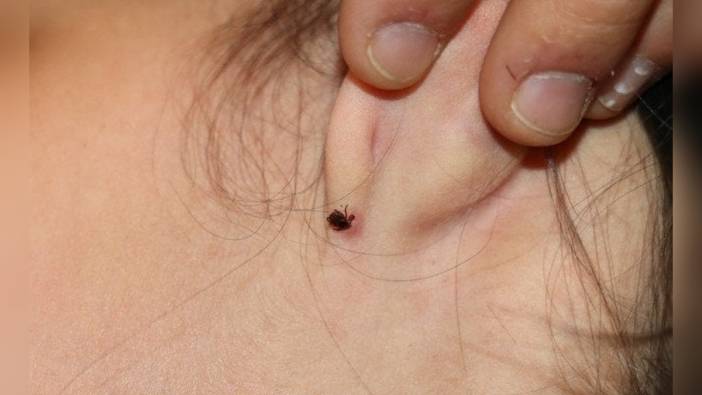 Tarım ve Orman İl Müdürü Çınar'dan KKKA uyarısı: Kişisel korunma şart