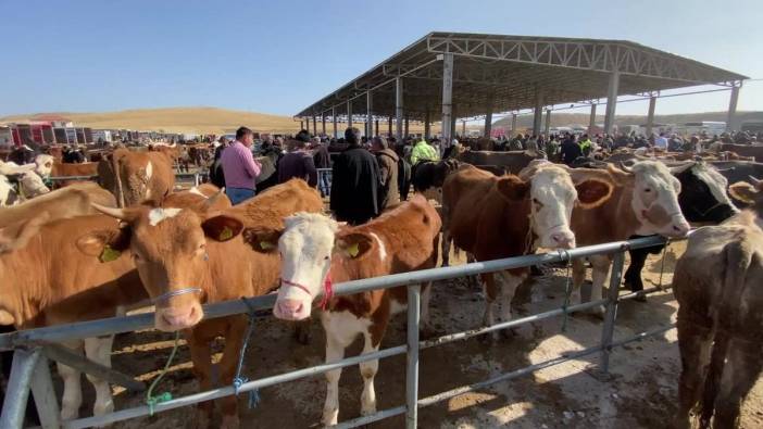 Yozgat'ta kurban pazarlarında denetimler sıkılaştırıldı