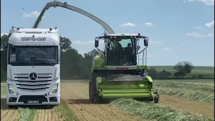 Edirne'de kuraklık: Çiftçiler buğdaylarını silaj yapıyor