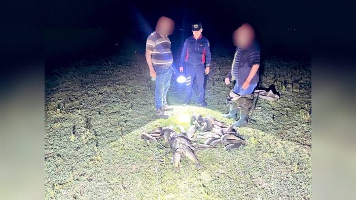Bursa'da kaçak avlanan 466 kilo balık ele geçirildi