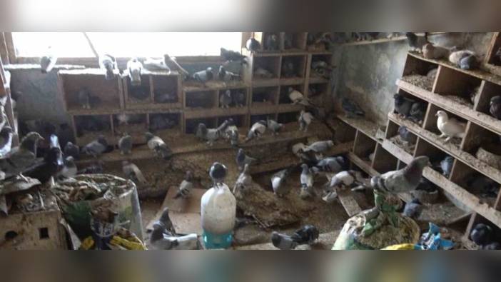 Balıkesir'de yangın: Mustafa Uzun, güvercinlerini kurtarmaya çalışırken hayatını kaybetti