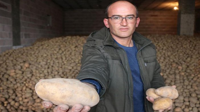 Nevşehir'de patates depolarda alıcı bekliyor