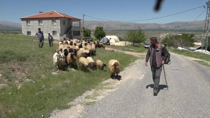 Malatya'da yayla göçü başladı: Yetiştiricilerden sulak ve mera sıkıntısı uyarısı