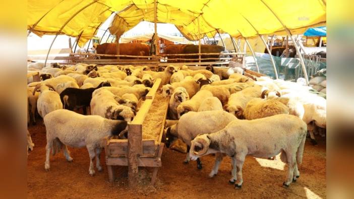 Ataşehir Belediyesi, Kurban Bayramı hazırlıklarını tamamladı