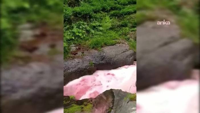 Rize'de dere kırmızıya döndü: Vatandaşlar endişeli