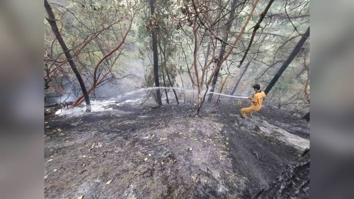 Kahramanmaraş'ta orman yangını kontrol altına alındı