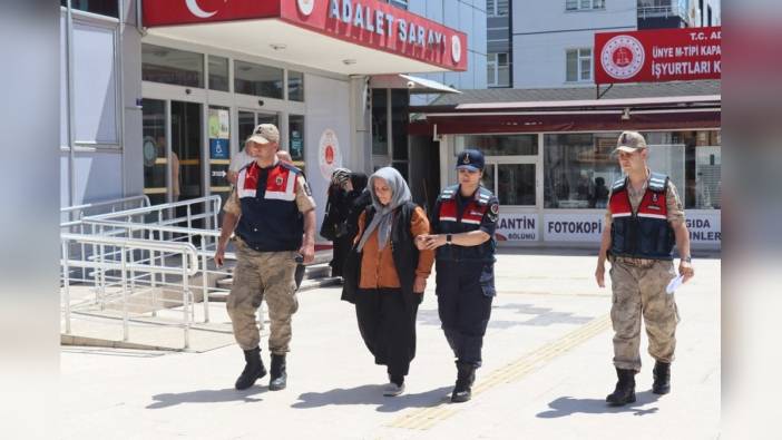Ordu'da kayınvalide geline eziyetten tutuklandı