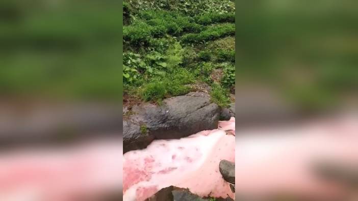 Rize'nin Güneysu ilçesindeki derenin rengi kırmızıya döndü