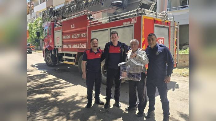 Amasya'da muhabbet kuşunu için ağaca çıkan vatandaş itfaiye tarafından kurtarıldı