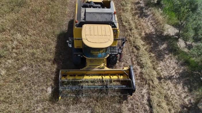 Kadirli'de buğday hasadı başladı: Çiftçiler taban fiyat açıklaması bekliyor