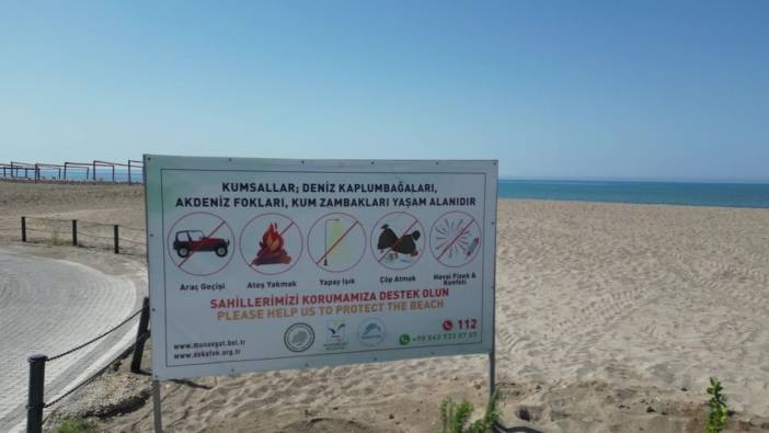 Manavgat Belediyesi'nden Caretta carettalar için koruma çalışması