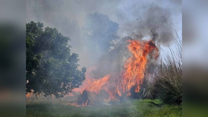 Antalya'da çalılık yangını korkuttu: Evler tahliye edildi