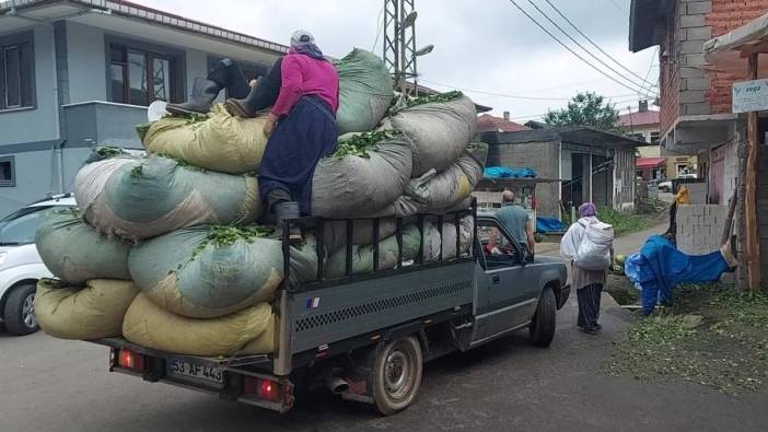 Fındıklı Belediye Başkanı Çervatoğlu'ndan AK Parti Rize İl Başkanı Katmer’e tepki: ÇAYKUR bir partinin arka bahçesi değildir
