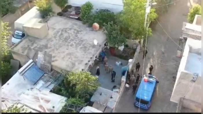 Diyarbakır ve Batman'da 'Daltonlar' çetesine operasyon: 3 tutuklama