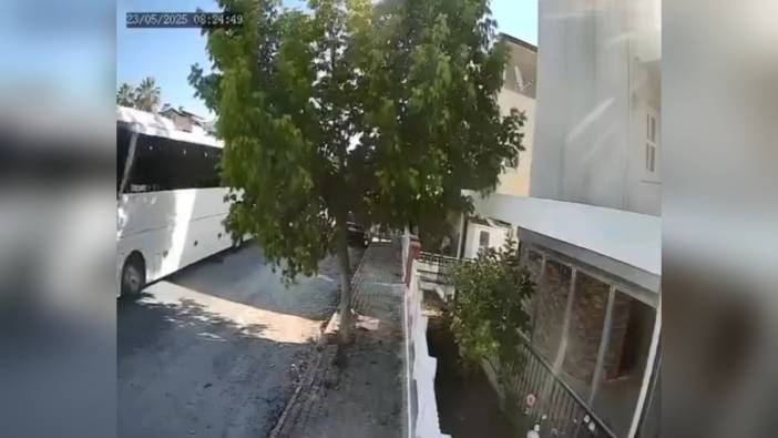 Kuşadası'nda tur otobüsü şoförü sokak köpeğini ezdi