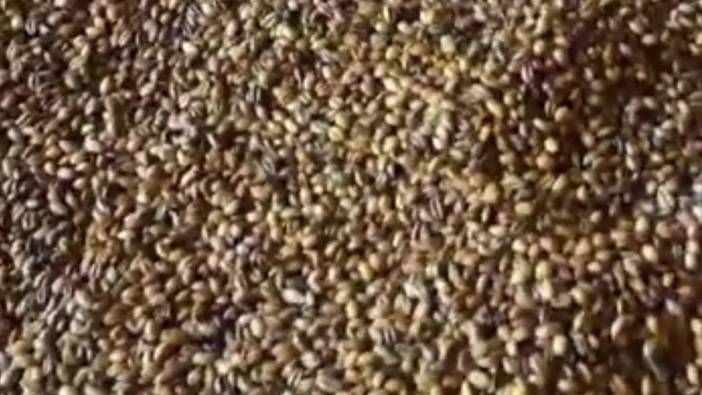 Çayıralan Emekçi Kadınlar Kooperatifi, yöresel lezzetleri yurt içi ve yurt dışına ulaştırıyor