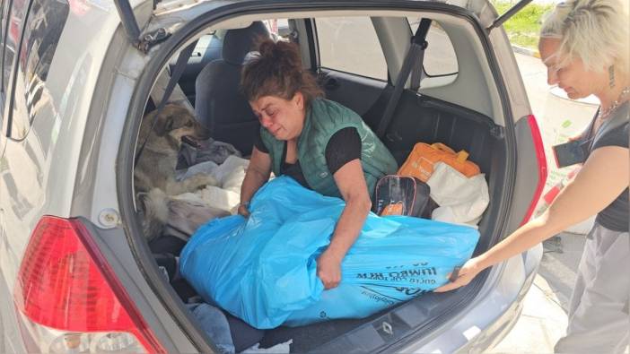 Zonguldak'ta tomografi çekimi sırasında köpeği öldü: Arzu Boncuk, ölen köpeğinin anısına yaralı bir sokak köpeğini sahiplendi