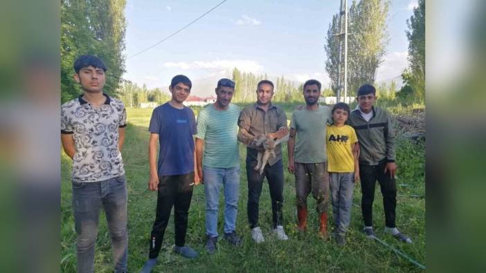 Iğdır'da bitkin halde bulunan tilki, tedavi edilerek doğaya bırakıldı