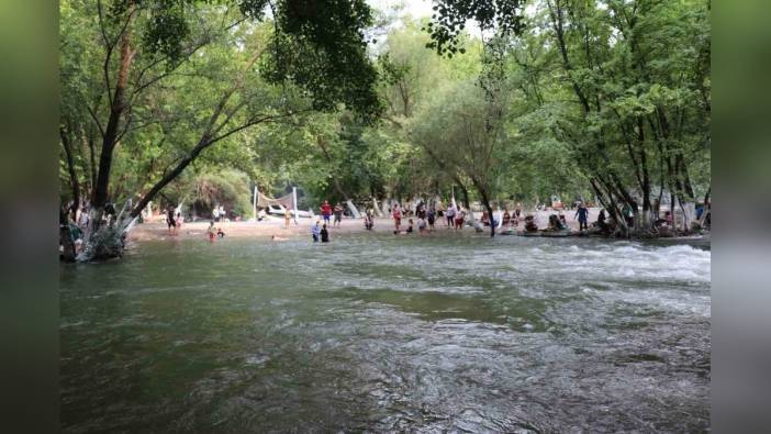 Aydın Bozdoğan'da Adnan Menderes Piknik Alanı'na yoğun ilgi